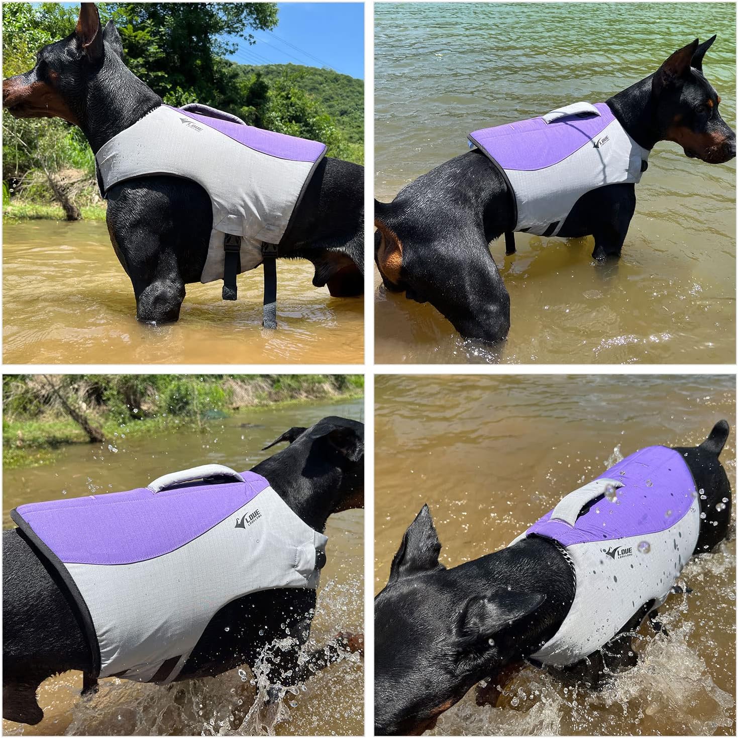 Lovelonglong Dog Life Jacket, Purple, M (Bust 22"-27"), Sport Style Dog Float Coat with Excellent Buoyancy, Adjustable & Rescue Handle, Fits Medium Dogs