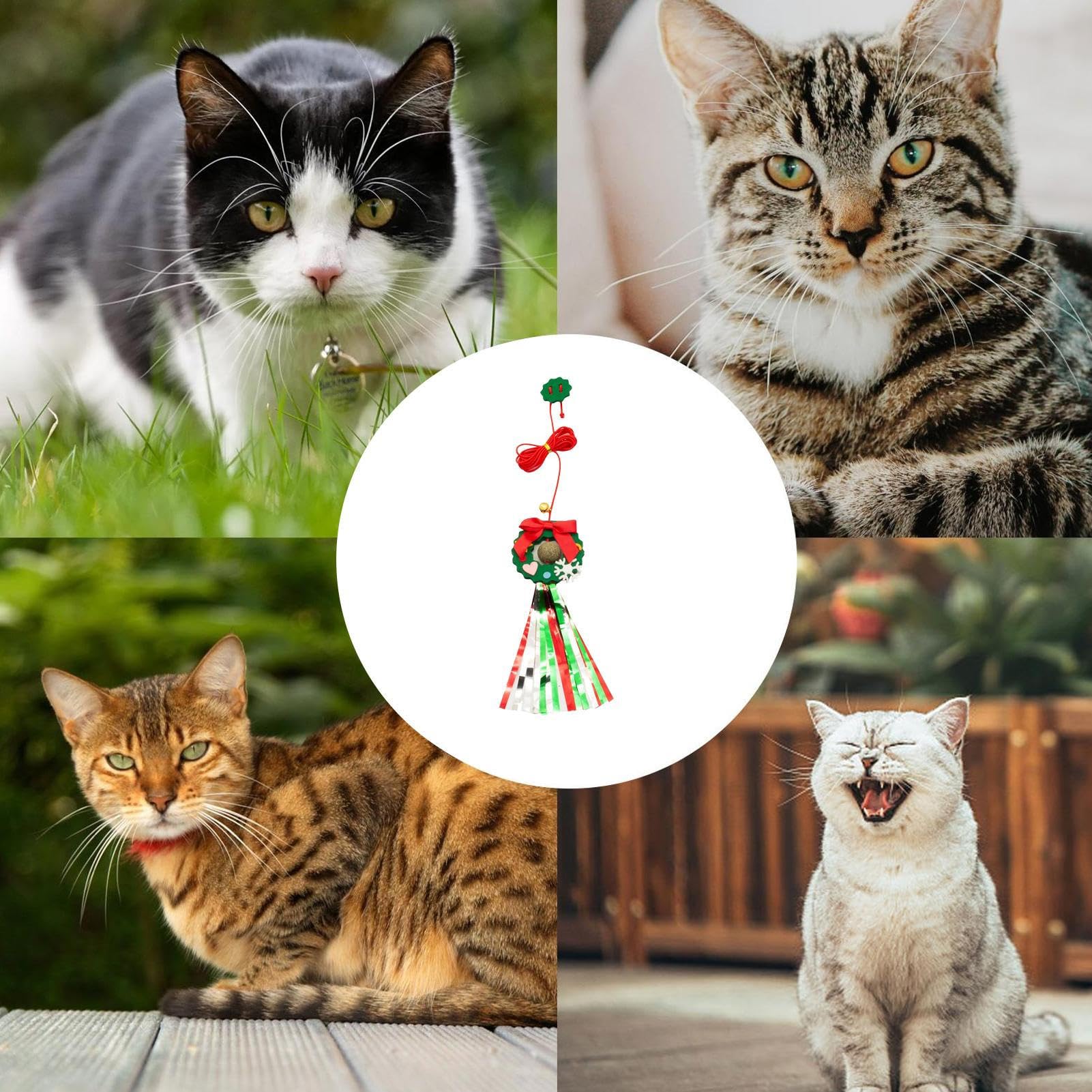 Kerst Kattenspeelgoed Of Hengel Aanbieding bij Discus