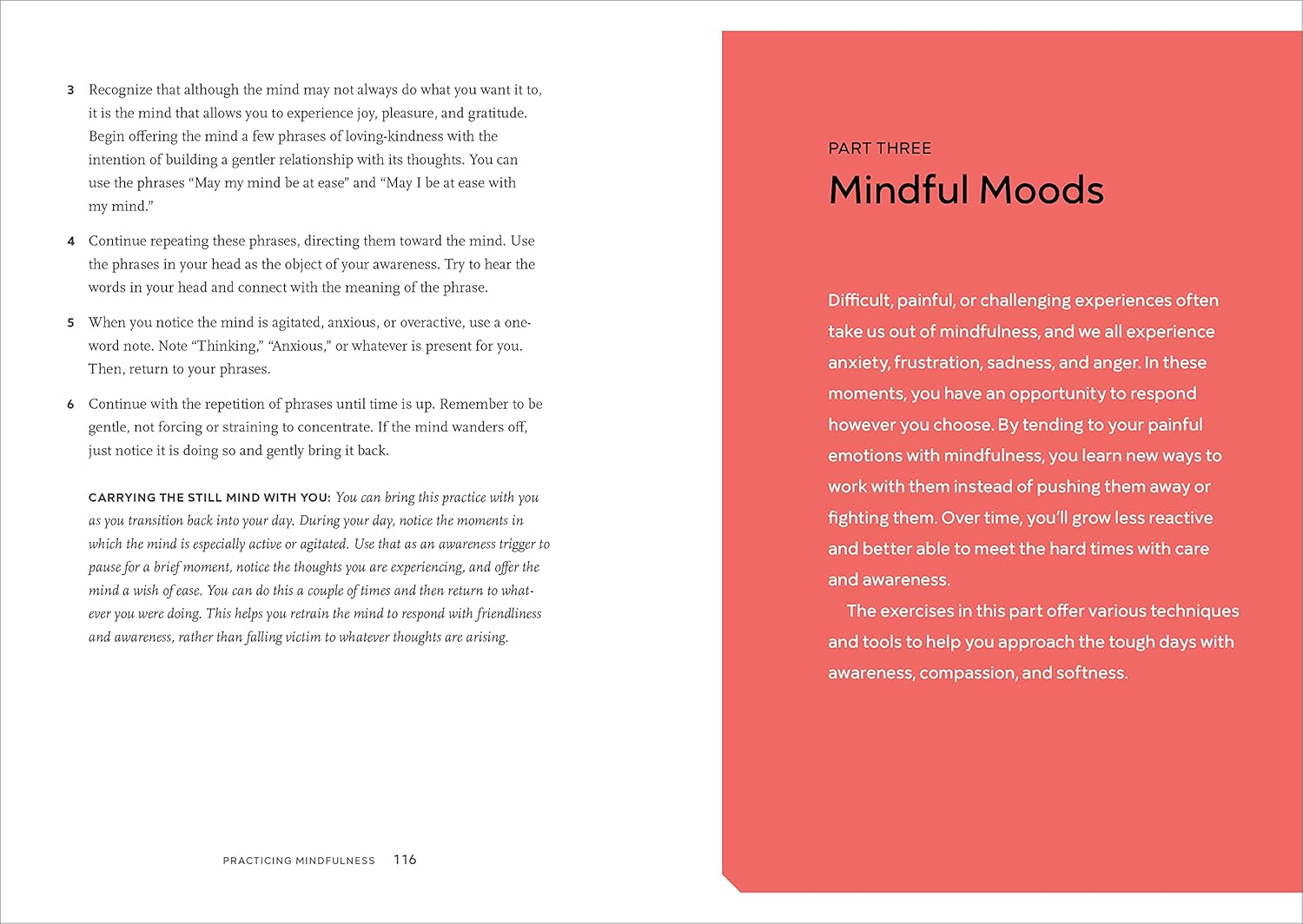 Practicing Mindfulness: 75 Essential Meditations to Reduce Stress, Improve Mental Health, and Find Peace in the Everyday