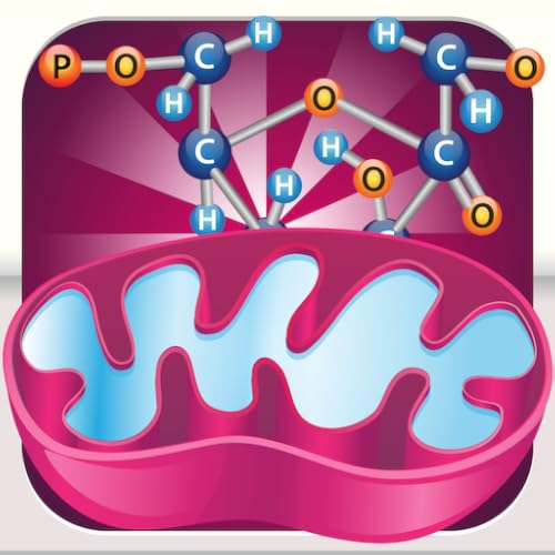 FCS - Cellular Respiration