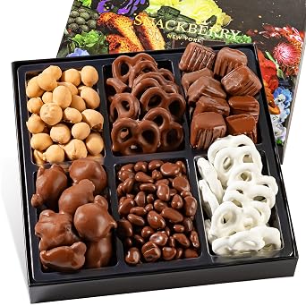 Snackberry Premium Chocolate Gift Box - Gourmet Assortment with Chocolate Pretzels, Maple Nuts, Yogurt Pretzels & Milk Chocolate Caramels Perfect for Holidays, Birthdays & Corporate Gifts