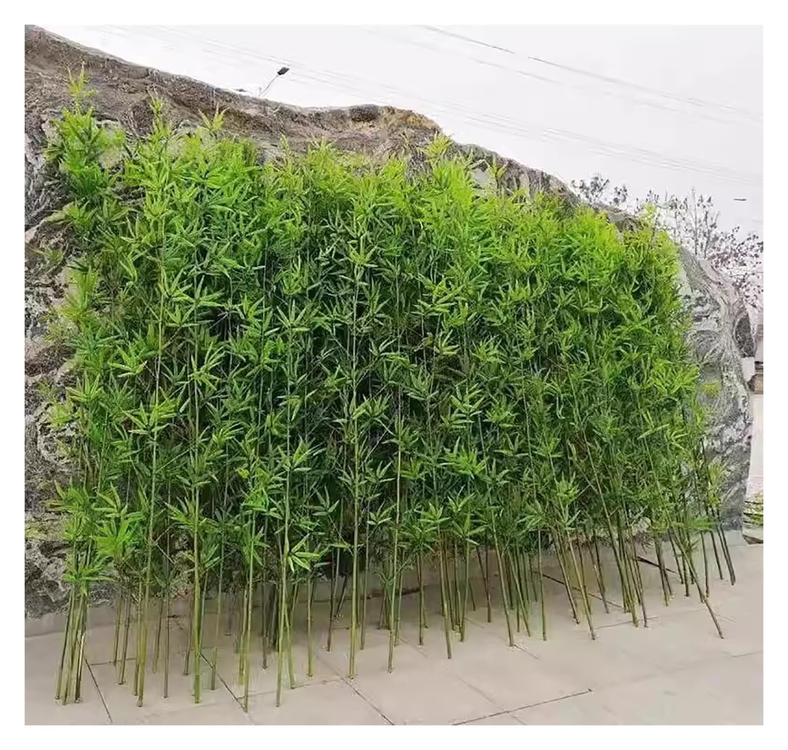 Arbre de bambou de simulation artificielle pour salon zen