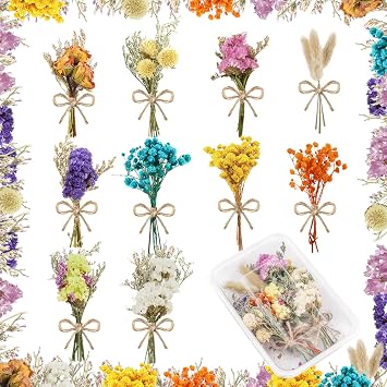 10 Pcs Mini Dried Flowers Bouquet Natural Gypsophila Dont Forget Me Dried Flowers Bouquet Plant Stem Bunch for DIY Craft Card Photo Props Vase Wedding DecorColorful