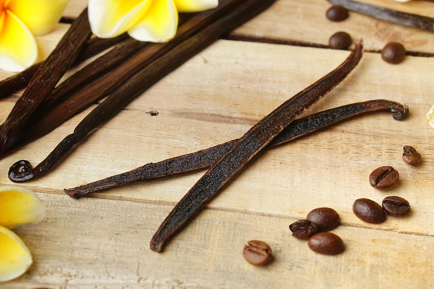 Buy 11 Plump Vanilla Beans For Making Vanilla Extract Grade A NONGMO Fresh Vanilla Bean pods