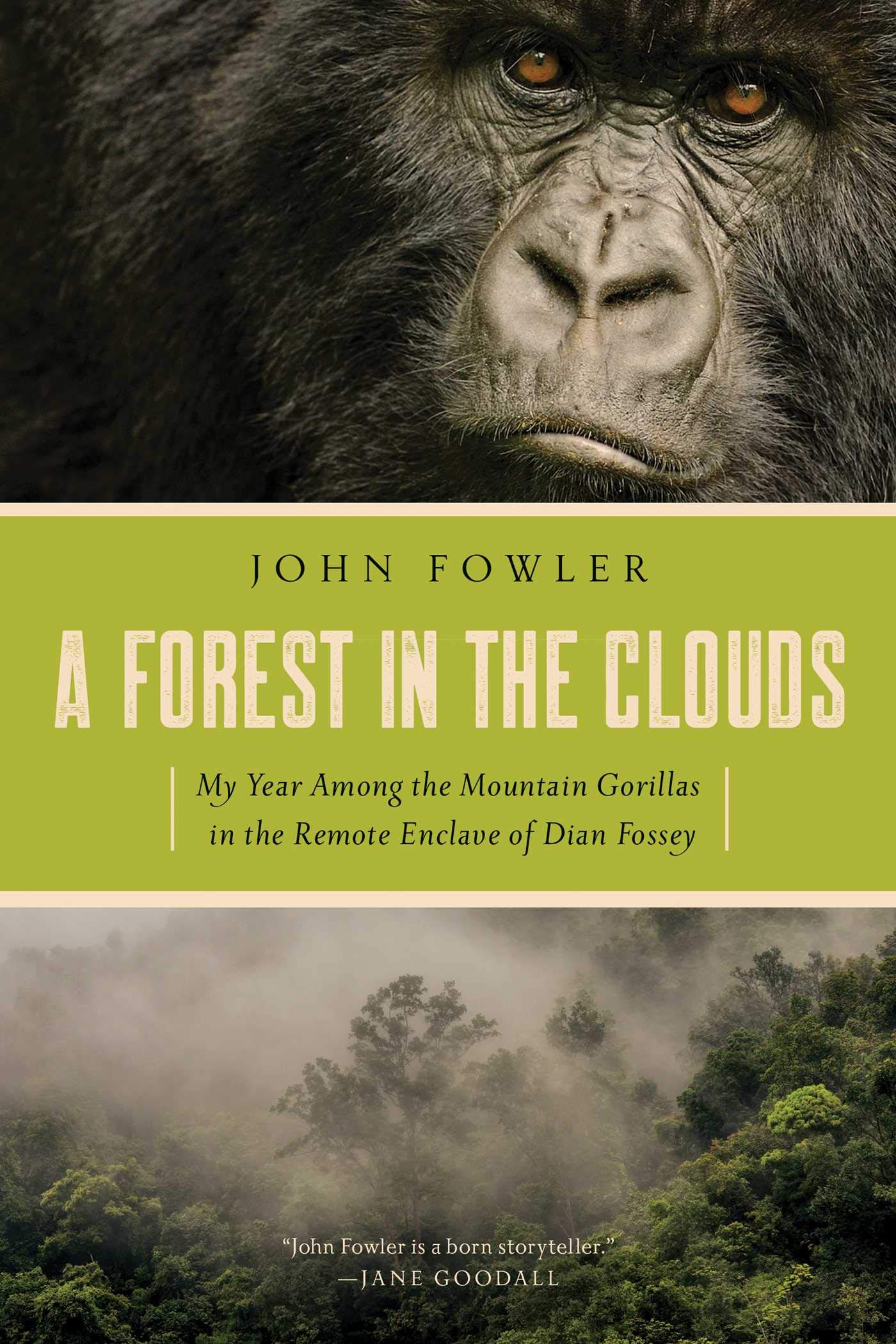 A Forest in the Clouds: My Year Among the Mountain Gorillas in the Remote Enclave of Dian Fossey