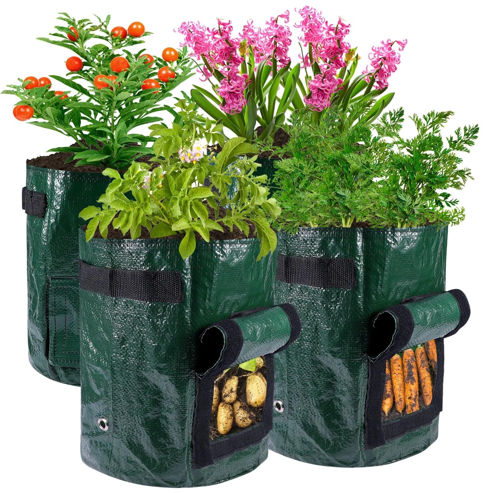 Sacs de Culture Pommes Terre, 3 pièces, 3/5/10 gallons, Sacs Plantes Jardinage, for, tomates, Carottes et Autres conteneurs Plantation légumes pour Plantes(5 Gallon)