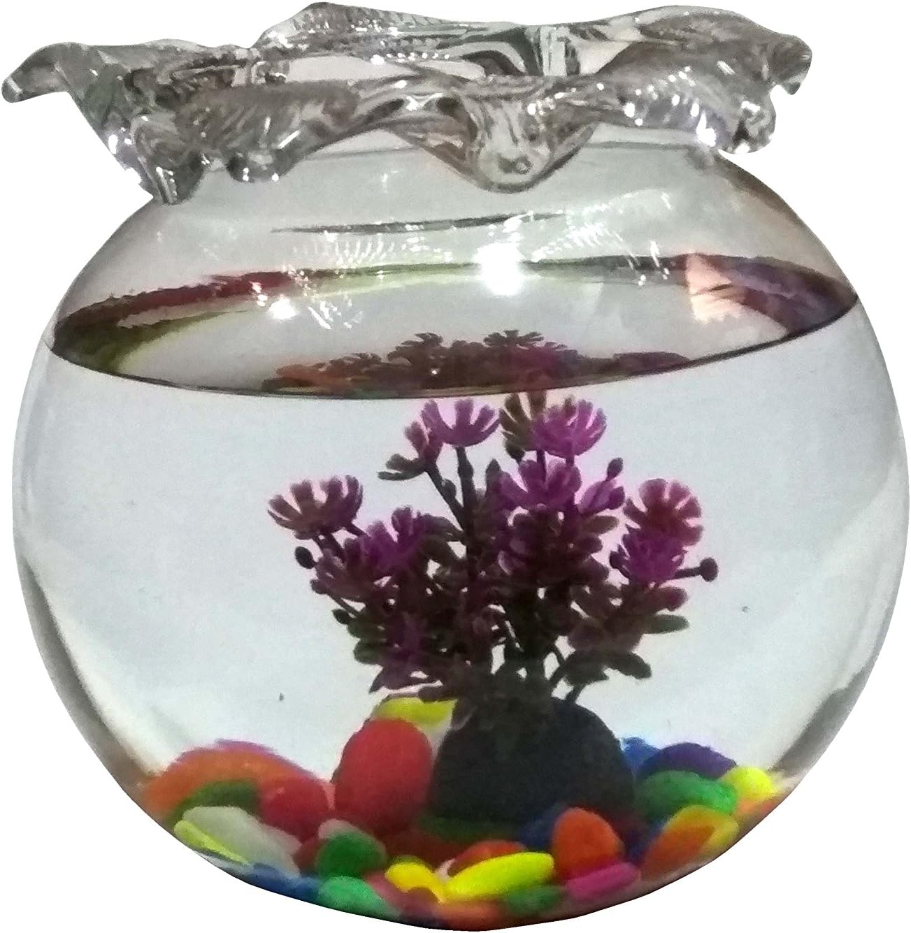 Jainsons Glass Fish Bowl With Baby Plant Multi-Color Stone & Artificial Fish (8 inch, Purple)