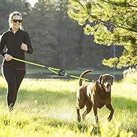 Vista 6 de JSXD Correa resistente de doble asa para perro - 5 pies con cuerda cómoda acolchada y reflectante para perros pequeños, medianos y grandes
