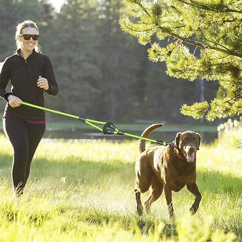 Miniatura 6 de JSXD Correa resistente de doble asa para perro, de 5 pies, con cómoda cuerda acolchada y reflectante para perros pequeños, medianos y grandes (verde