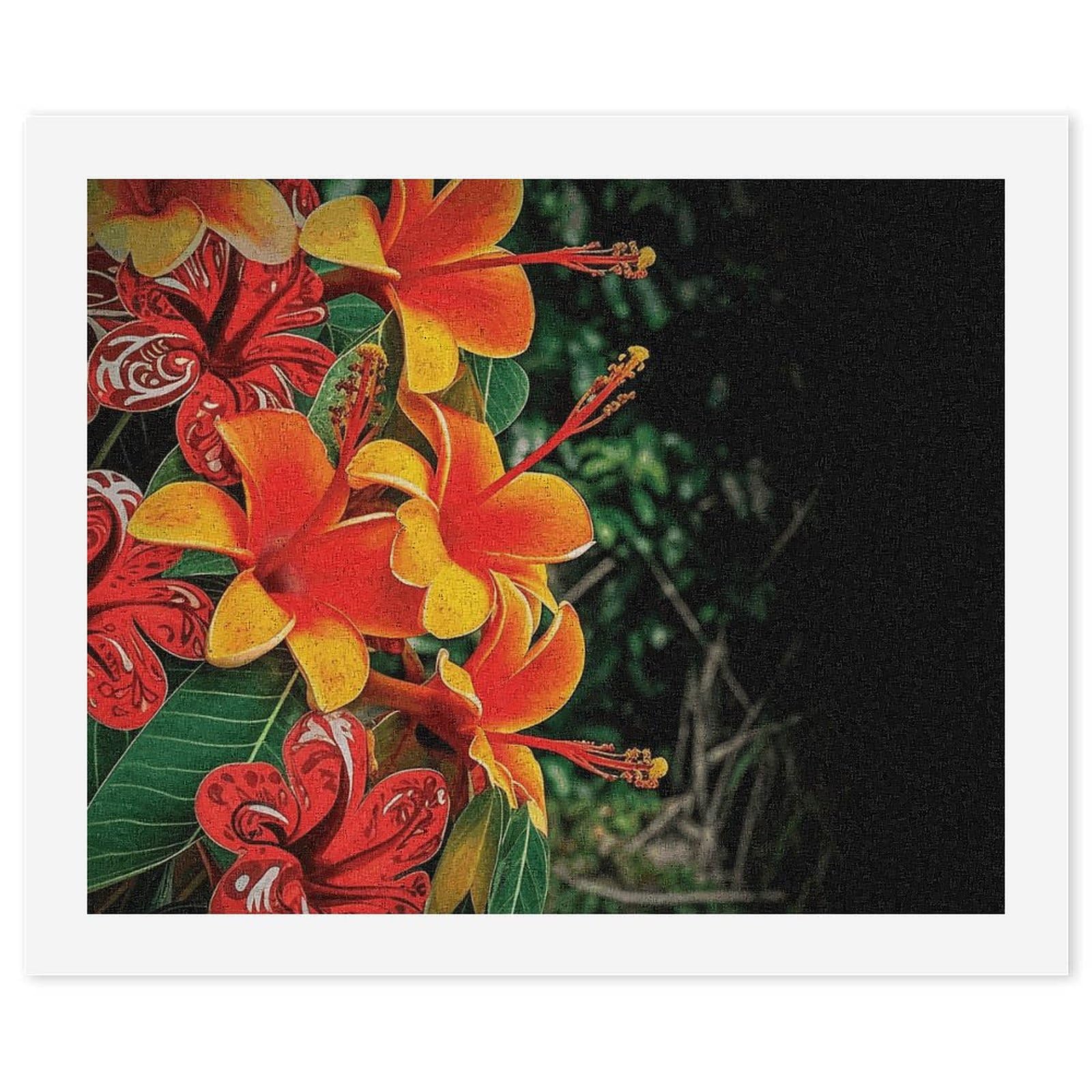 RTBKLYQ Kit per dipingere con i numeri, per adulti e principianti, fiori hawaiani, fai da te, pittura a olio, tela per kit di pittura, regalo per la casa