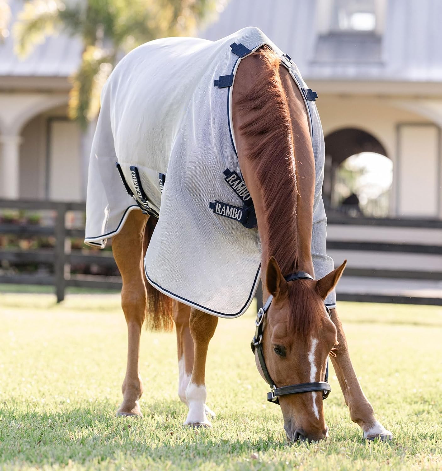 Horseware® Protector Fieldsafe Fly Sheet
