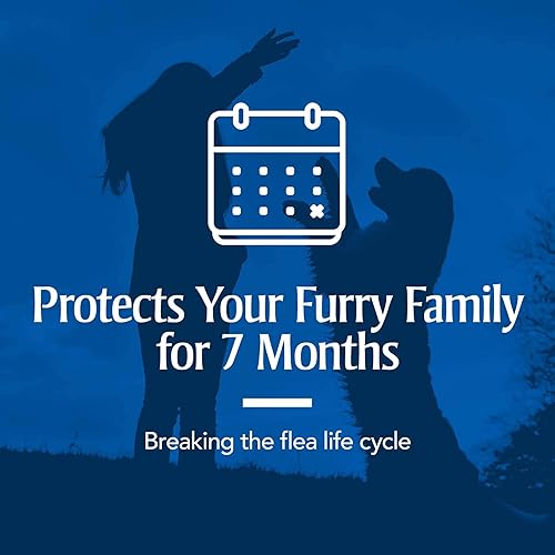 Vista 13 de PETARMOR Home Polvo para alfombra contra pulgas y garrapatas, protege tu hogar de pulgas y desodoriza alfombras, 16 oz