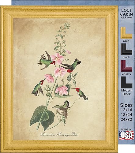 Vista 16 de Towee Bunting by James Audubon - Marco biselado negro de 12 x 16 pulgadas, decoración artística enmarcada para pared, reproducción de pinturas