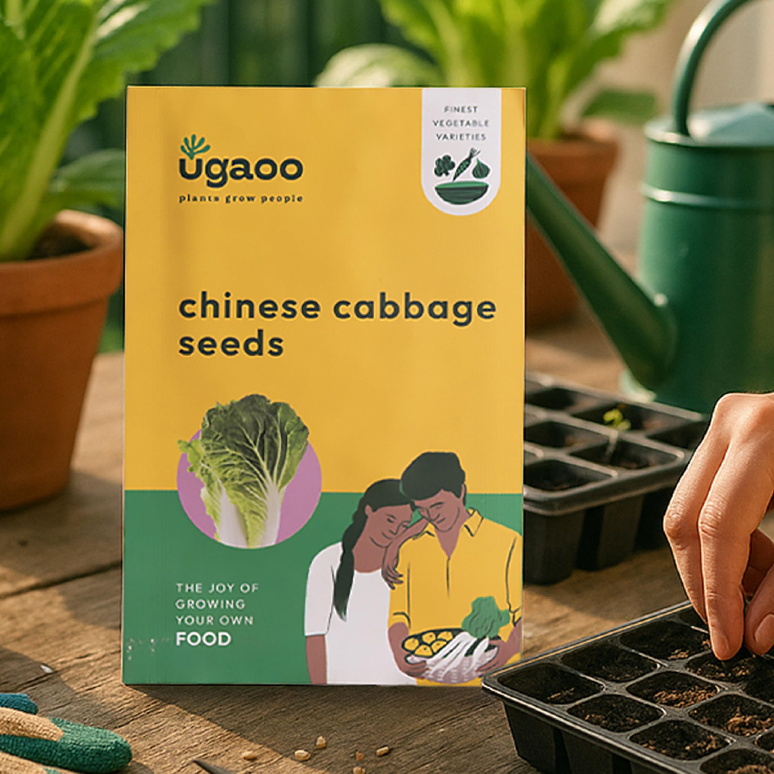 UGAOO Chinese Cabbage Vegetable Seeds (Green, Pack of 800mg)-image-6