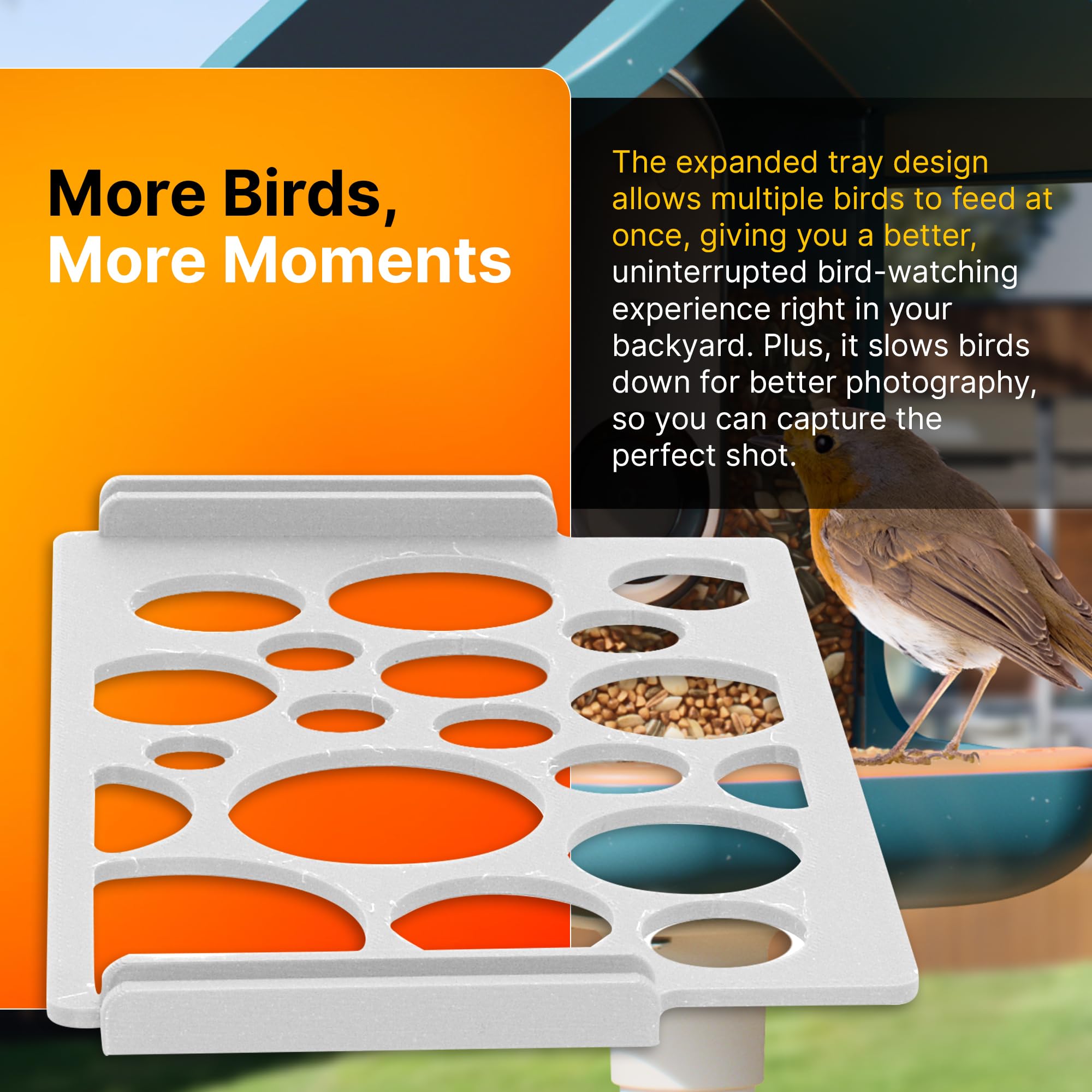 SplashNColor - Bandeja de alimentación compatible con BirdBuddy, percha para pájaros al aire libre para alimentar a múltiples pájaros, accesorios para pájaros, comederos duraderos y resistentes a la