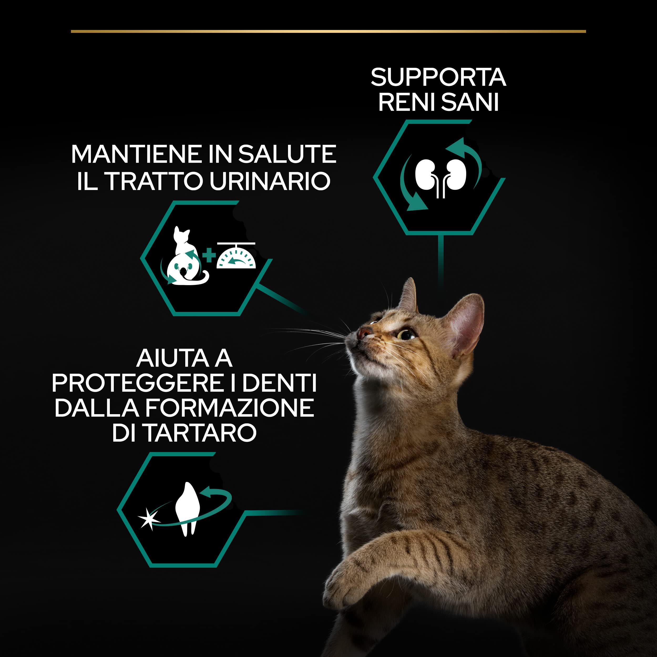 PURINA PRO PLAN Renal Plus Crocchette per Gatti Sterilizzati, Sacco da 10kg | Croccantini per Gatti Adulti Ricco in Coniglio