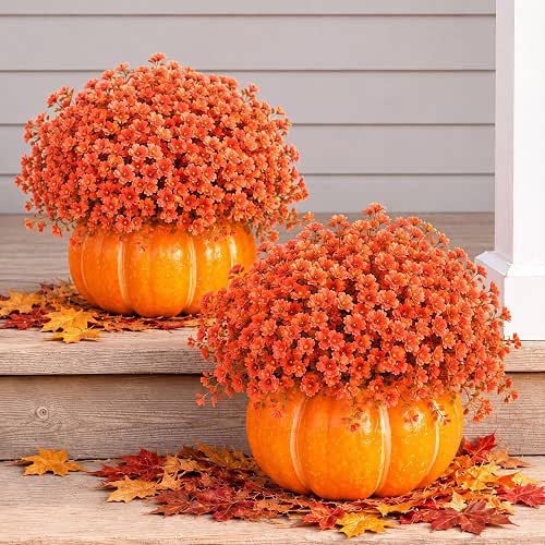Thiccywoov 2 Pack Fall Outdoor Pumpkin Decorations for Porch,Daisy