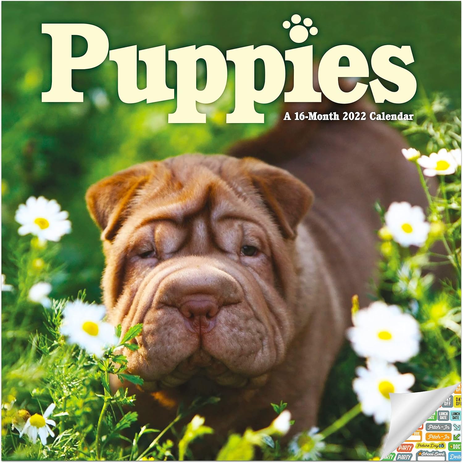Amazon Puppies Calendar 2022 Deluxe 2022 Puppy Wall Calendar amazon-puppies-calendar-2022-deluxe-2022-puppy-wall-calendar