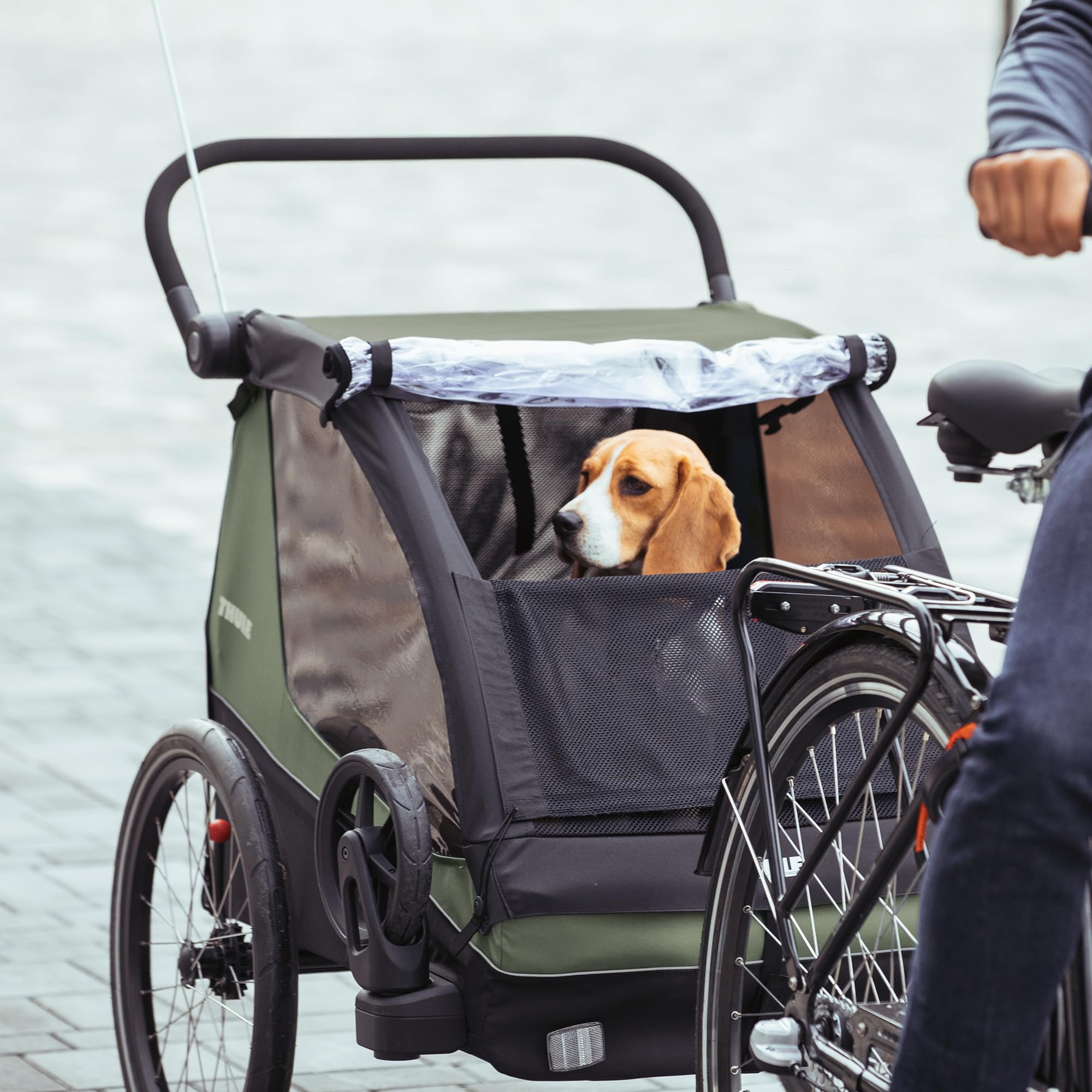 Thule Courier - Remolque de Bicicleta para niños y Perros, Color Verde