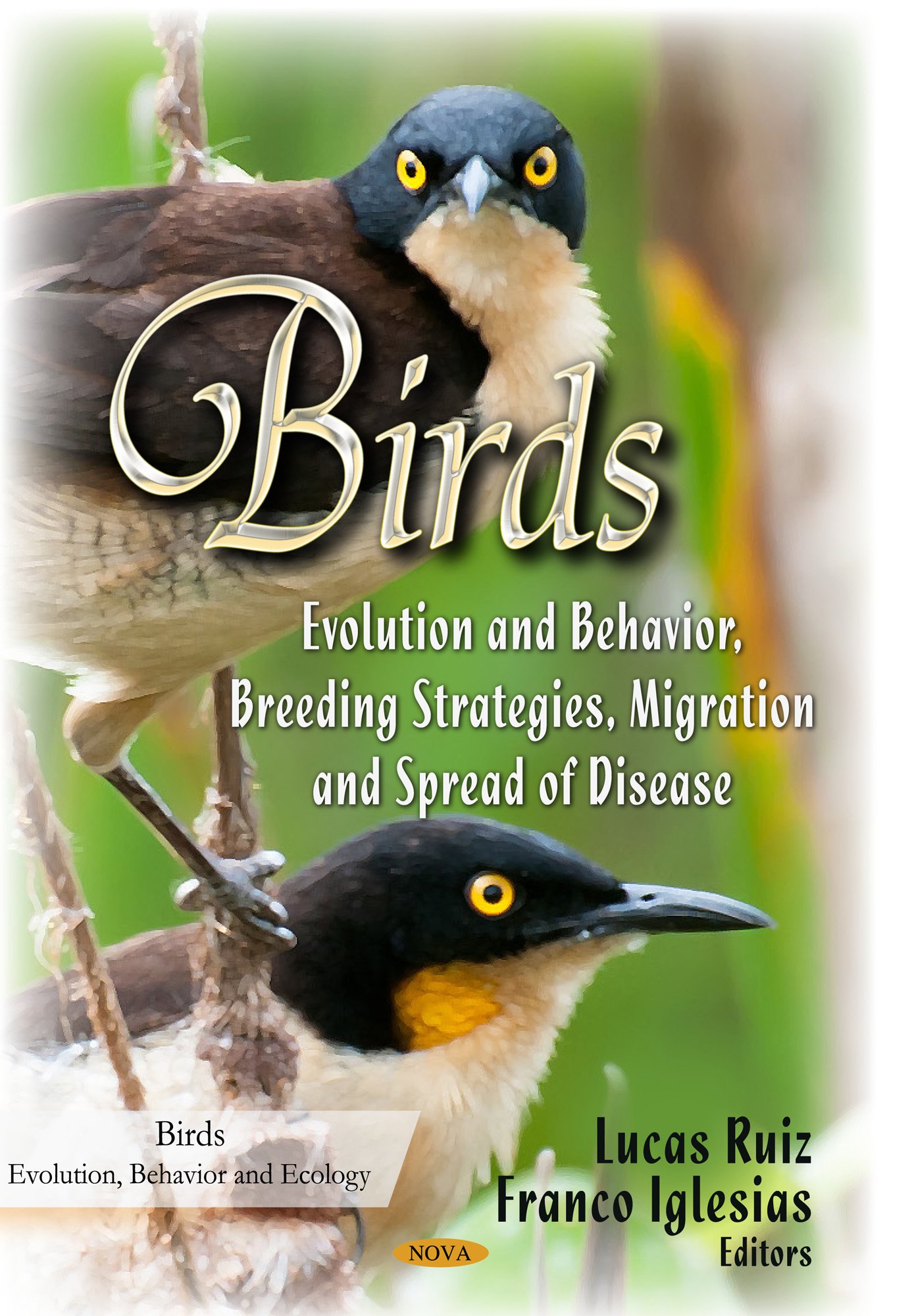 Buy Birds: Evolution & Behavior, Breeding Strategies, Migration & Spread of Disease (Birds-evolution, Behavior and Ecology) — BookShops.in