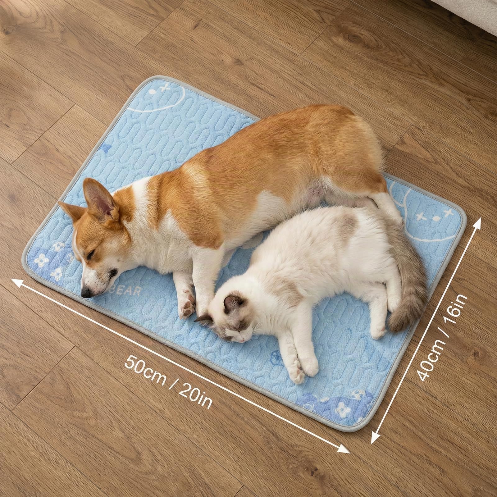 Tapis Rafraîchissant pour Chiens et Chats 50x40cm, Lavable en Machine - Motif Ours Bleu, Matelas Auto-Rafraîchissant en Tissu Glace & Remplissage Latex, Points Anti-Dérapants, pour Maison, Voiture
