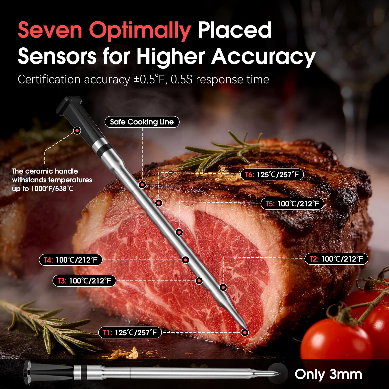 BBQOVN Termometro per carne WiFi (1, argento, piccolo)