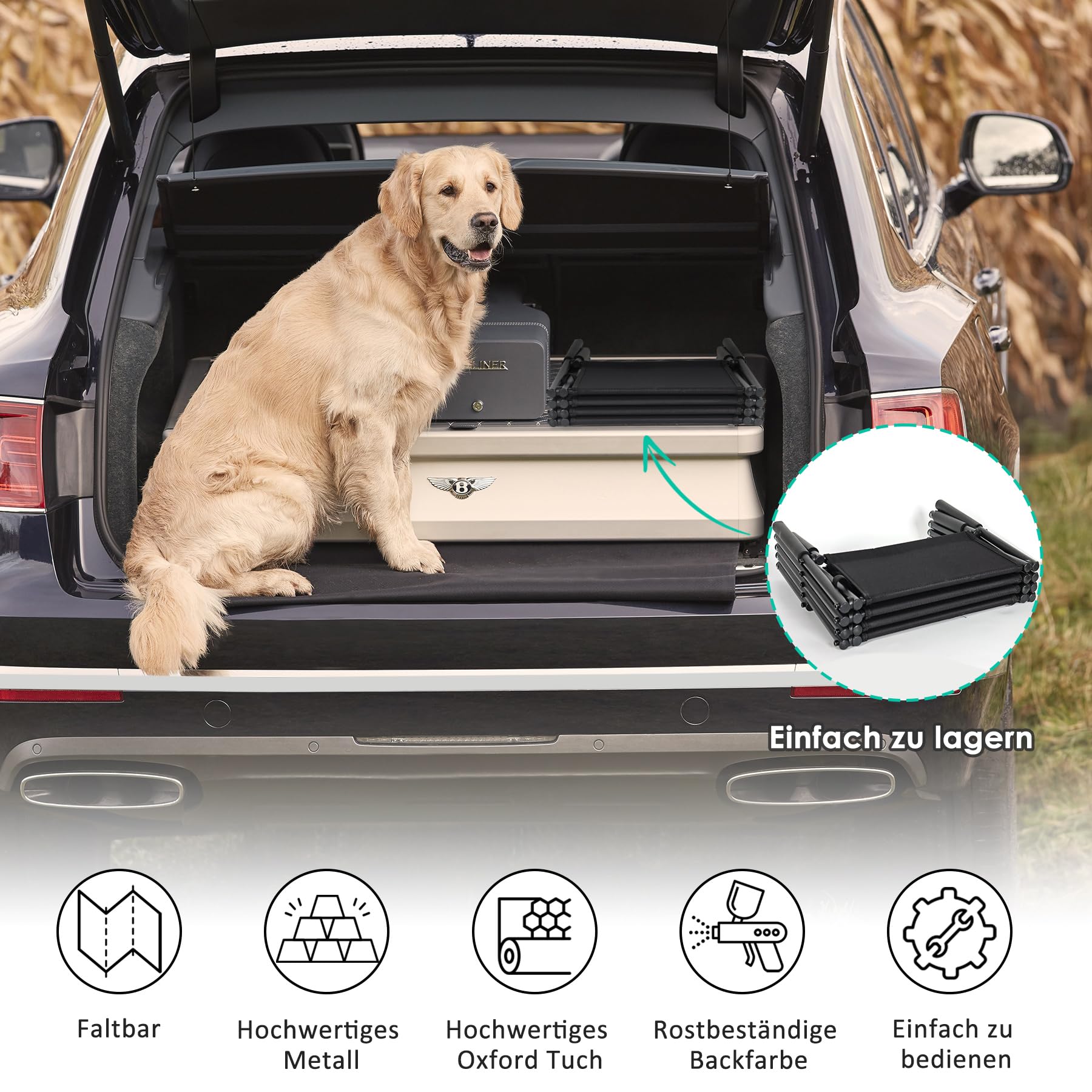 CALIYO Hundetreppe Auto Klappbar bis 75KG für Große Hunde, Höhenverstellbare 4-Stufen-Hundetreppe, Geeignet für Autos, Sofas und Betten, Gelenkschonende, sichere und stabile（Schwarz）