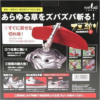 818wR9nzL-L._AC_UF350,