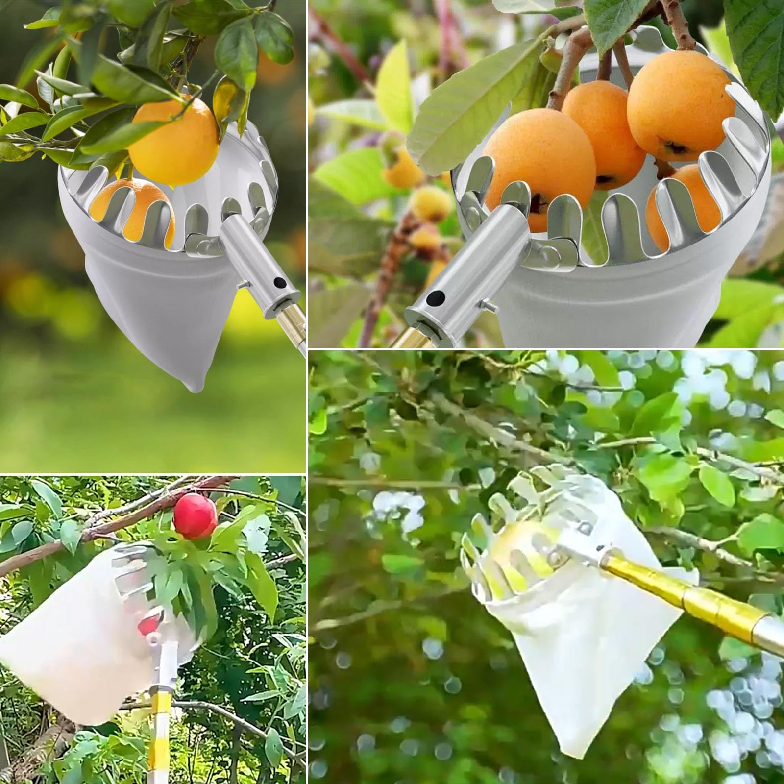 Raccogli Frutta Telescopico con Cestello, Raccogli Frutta da Albero con Cestello, for la Raccolta di Avocado, Arance, Albicocche e Limoni