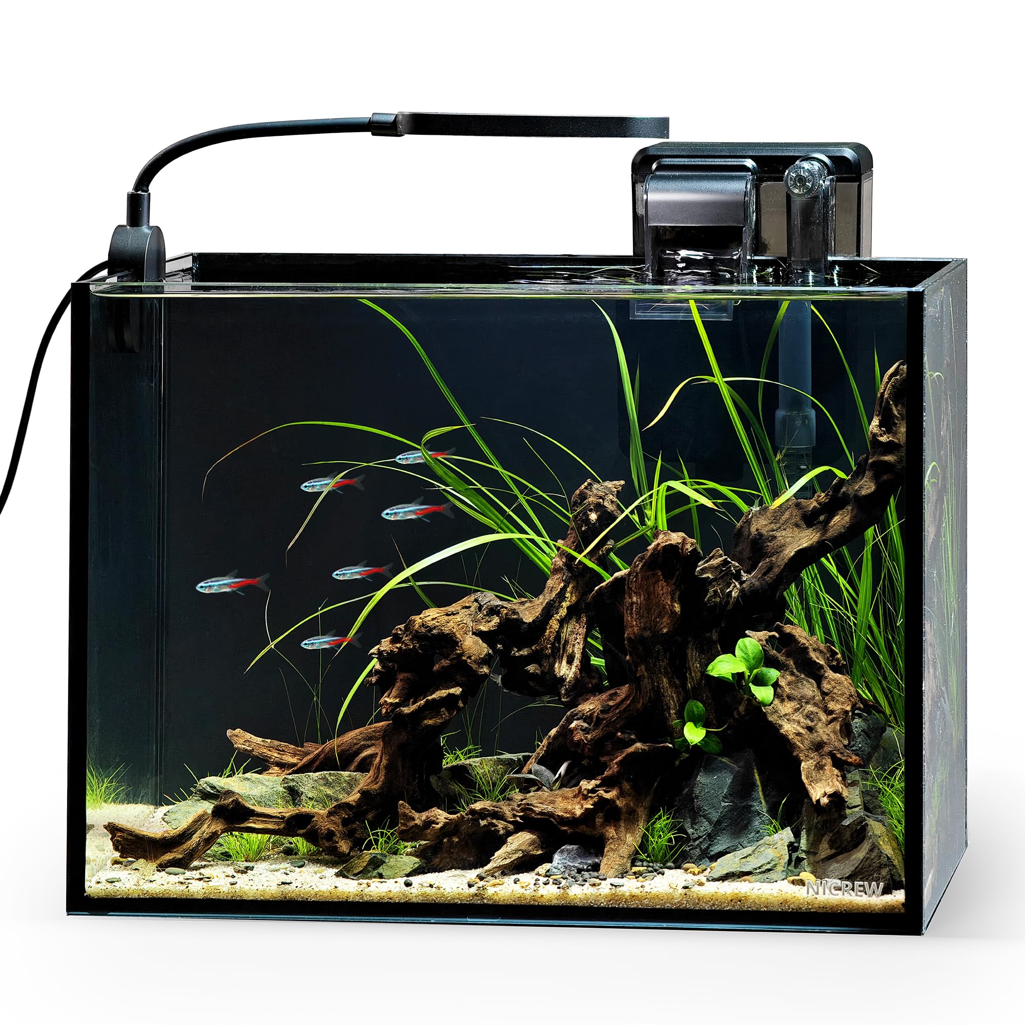 Do Fish Get Bored? Why Your Fin-Friend Needs Toys