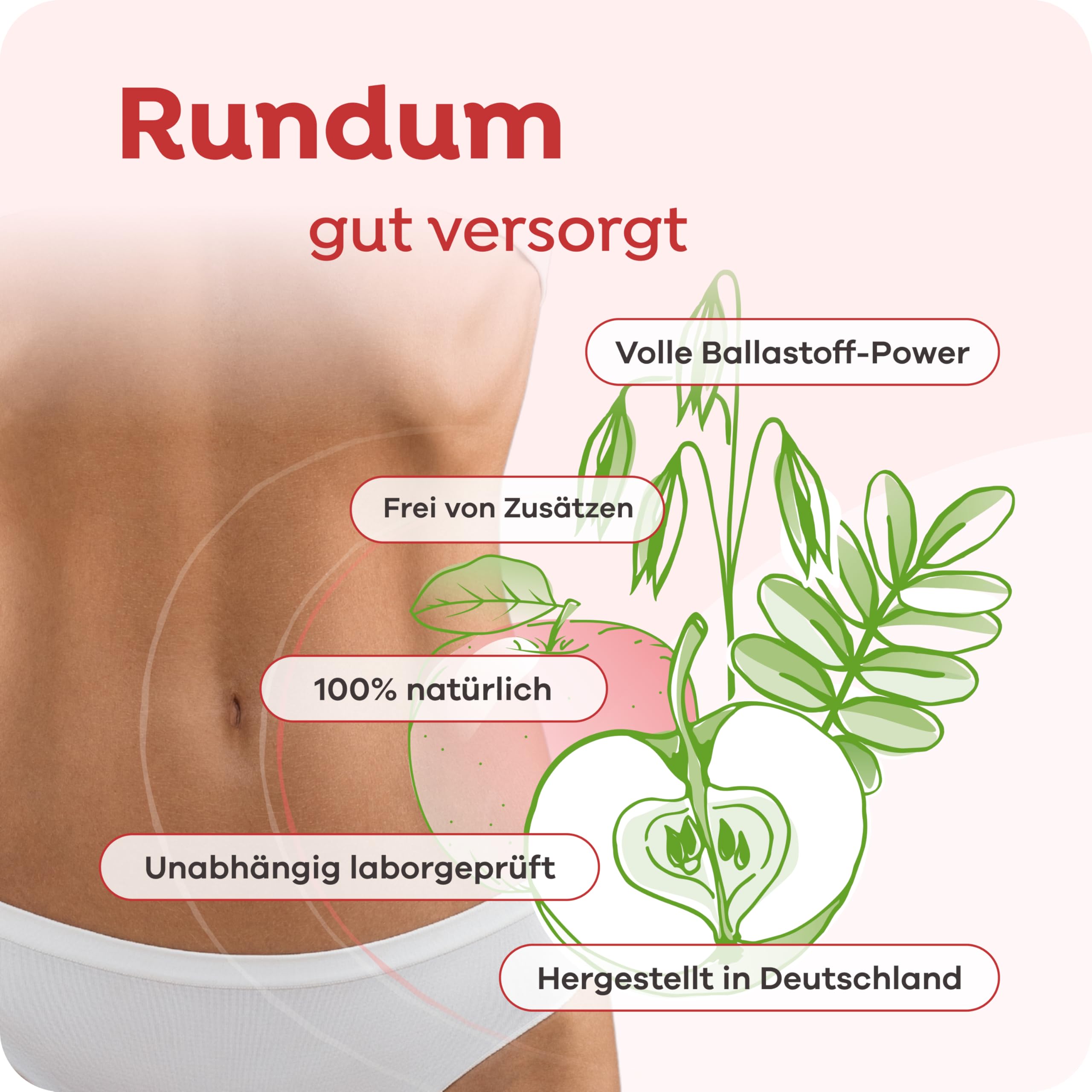 Multi-Ballaststoff-Komplex | 10 Premium Ballaststoffe & Calcium | Verdauung, Darmflora, Immunsystem, Cholesterin & Blutzucker | vegan, glutenfrei, laktosefrei | 1x 420g Pulver