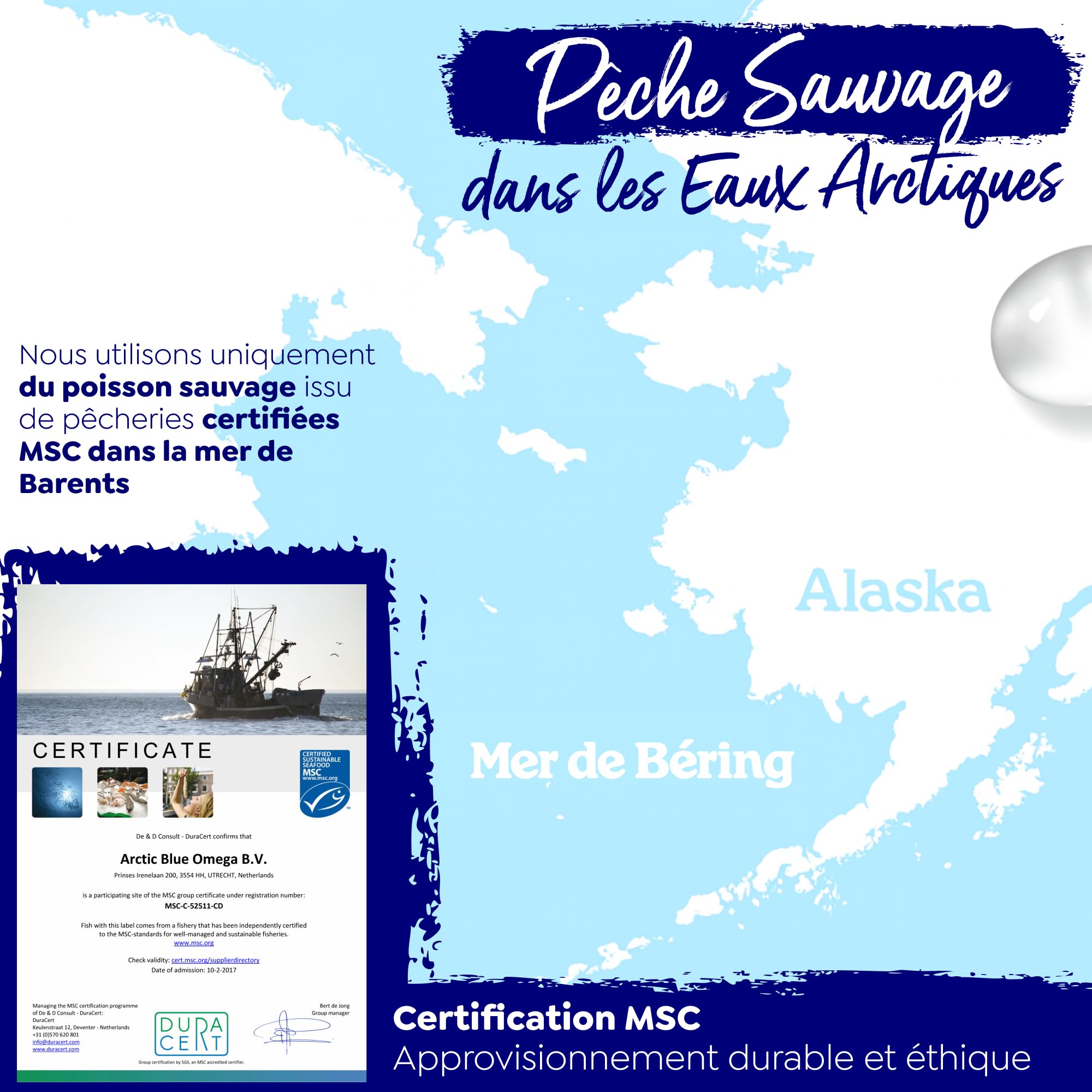Arctic Blue Oméga-3 Huile de Poisson 60 Capsules — 550mg de DHA + 275mg d’EPA + 10µg de Vitamine D3 par Capsule — Huile de Colin d’Alaska MSC, Forme Triglycéride, Pureté Maximale, Sans Goût de Poisson