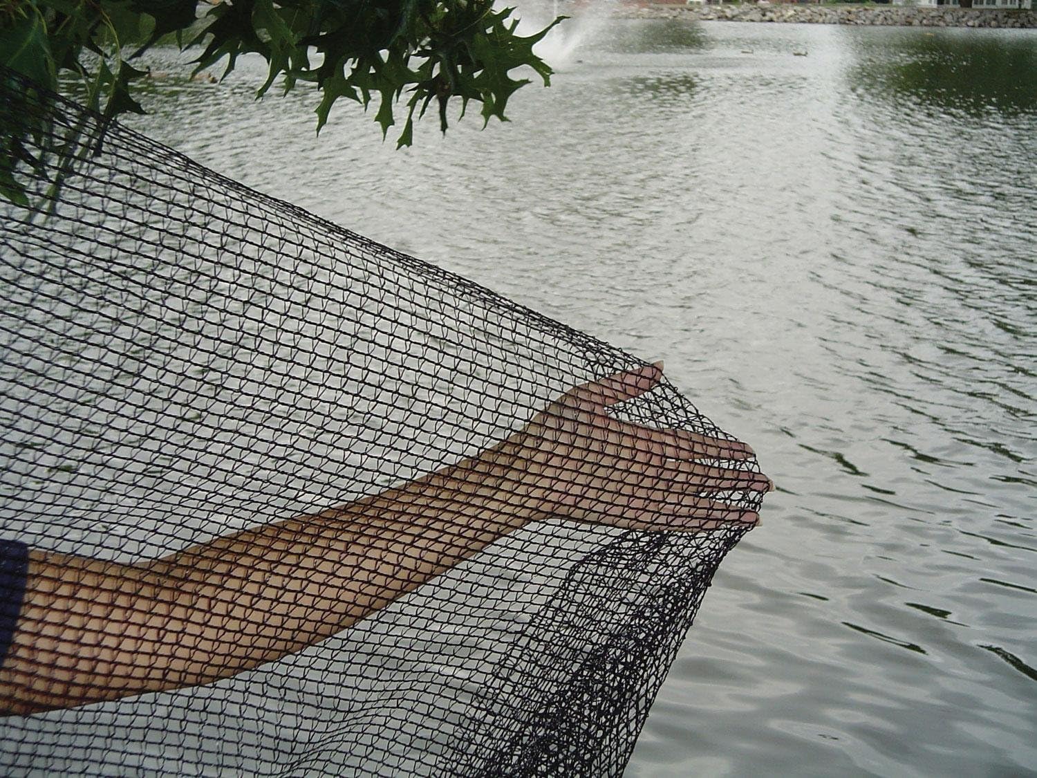 DeWitt Pond Netting, 10 by 12-Feet(2Pack)