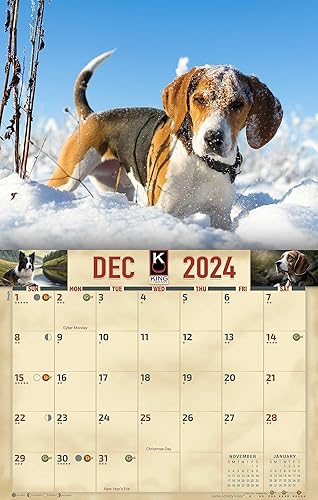 Miniatura 4 de The KING Company-Monster Calendars - Calendario de pared de perros deportivos 2024 de 16 meses, tamaño XL, 14 x 22 pulgadas, el mejor calendario de