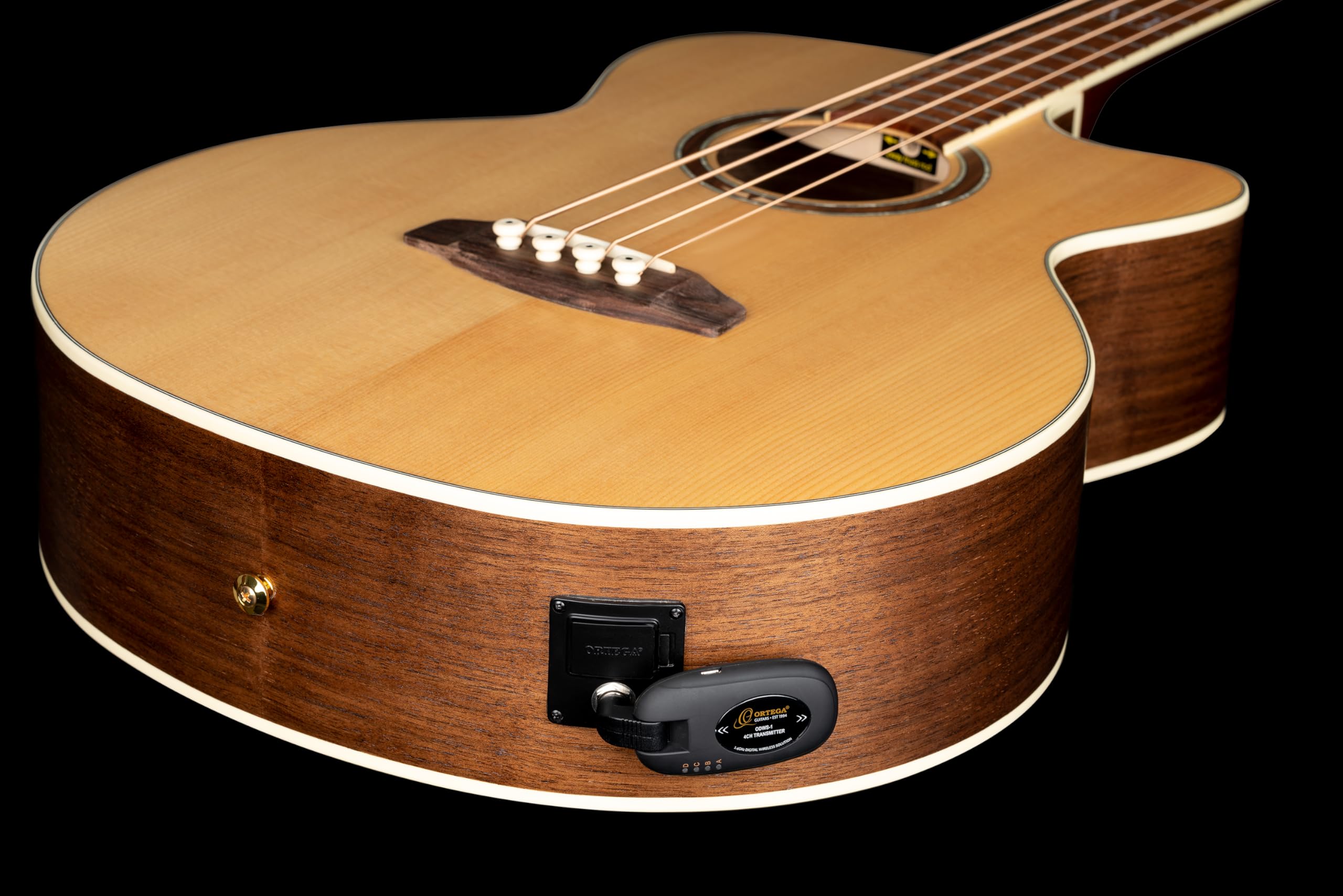 Ortega Guitars Digital Wireless System – Wiederaufladbares Zubehör für Gitarre – Schwarz (ODWS-1BK)