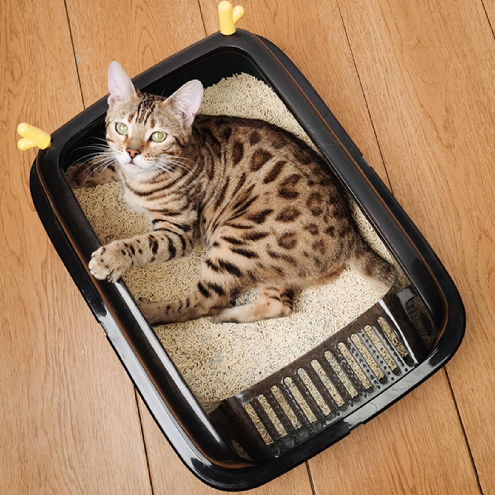 Amazon | 猫用トイレ本体 38*50*20cm 半密閉型 猫トイレ