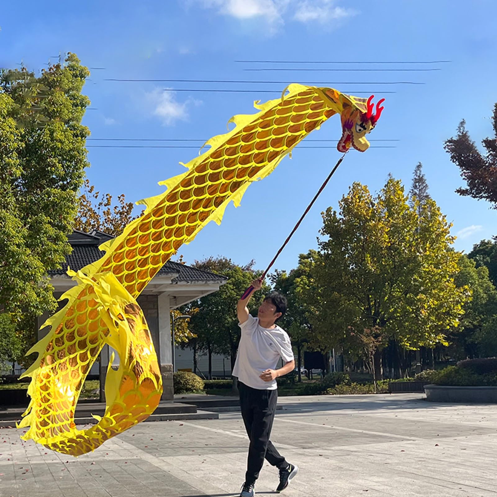 Amazon.com: Yongyili Dragon Poi Two-Sided Dragon Poi Flow Toy