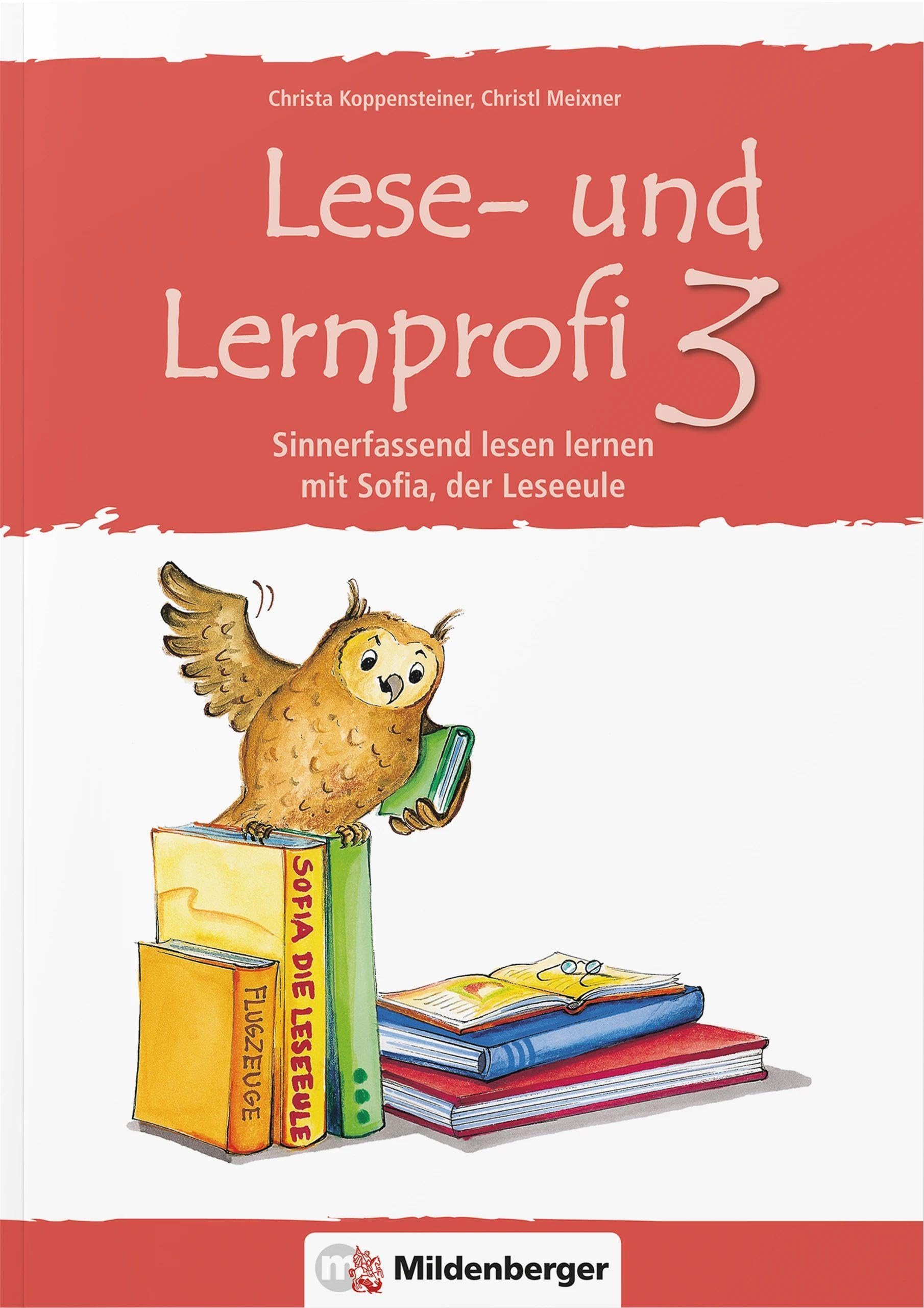 Lese- und Lernprofi 3. Schülerarbeitsheft: Sinnerfassend lesen lernen mit Sofia, der Lese-Eule, Klasse 3