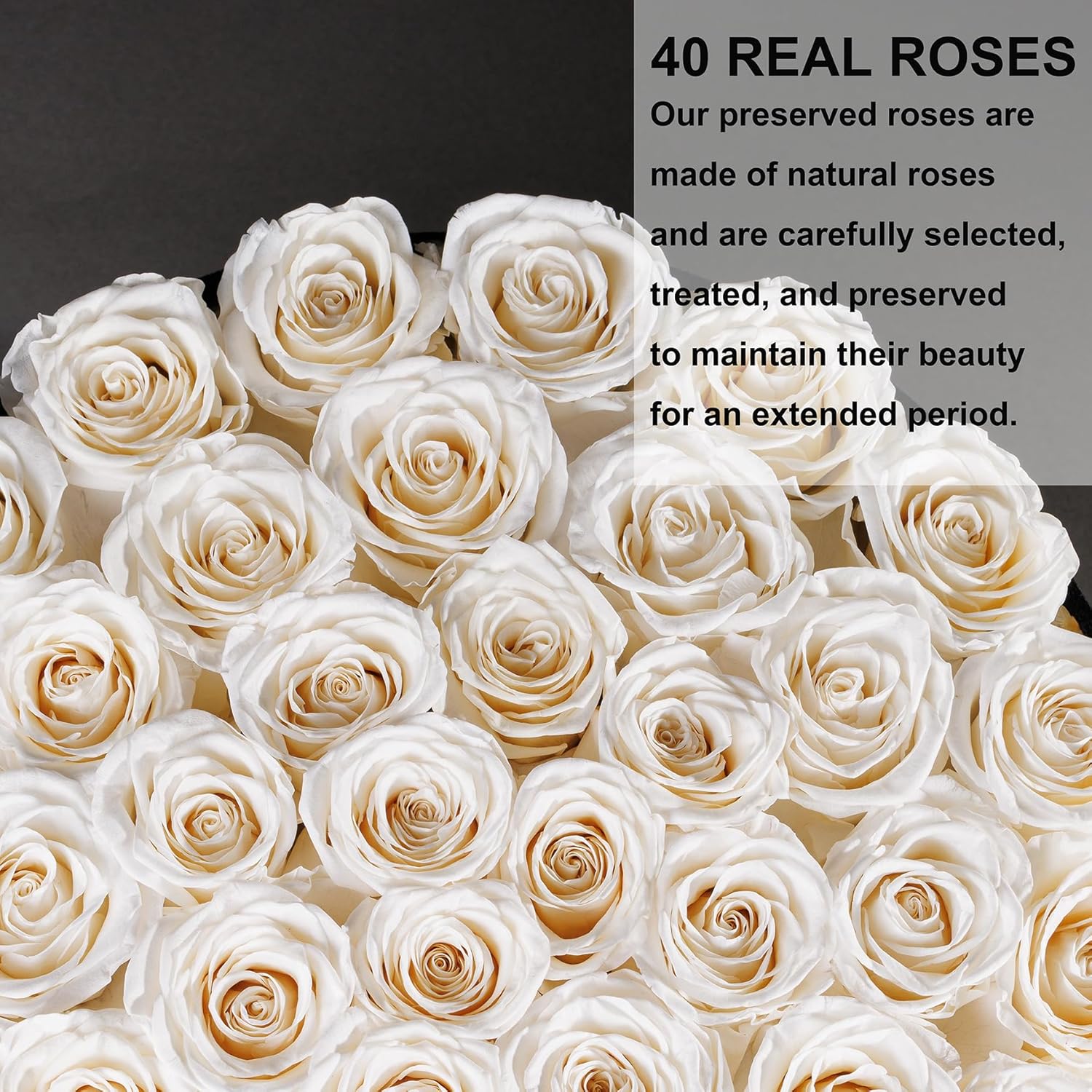 40 Pieces Preserved Roses in Suede Box, Flowers for Mothers Day, Preserved Flowers Gift for Women, White - Image 4