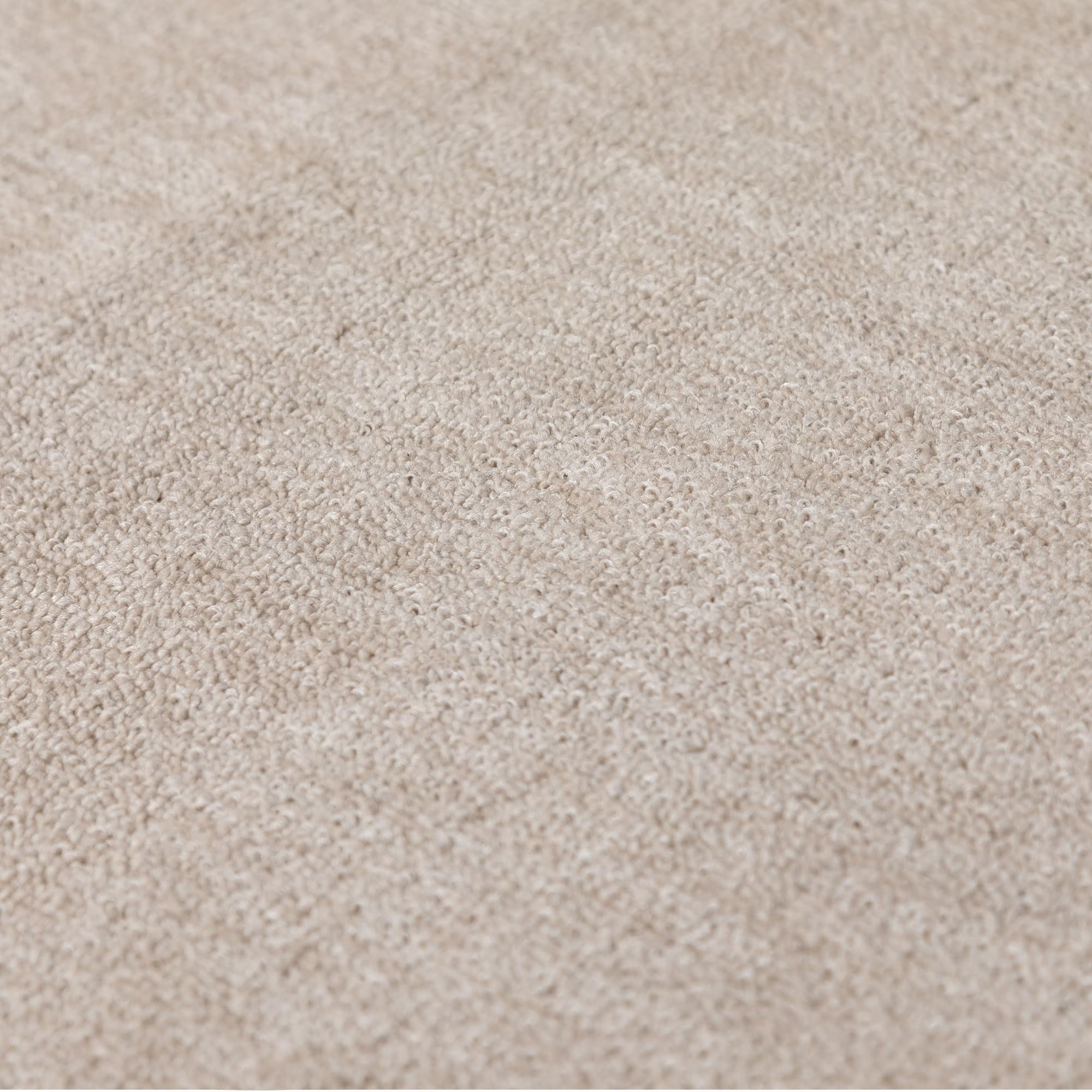SIMPEX Tapis 240x340 cm Crème, Bouclé Uni à Poils Courts pour Salon Spacieux ou Loft, Moderne et Durable