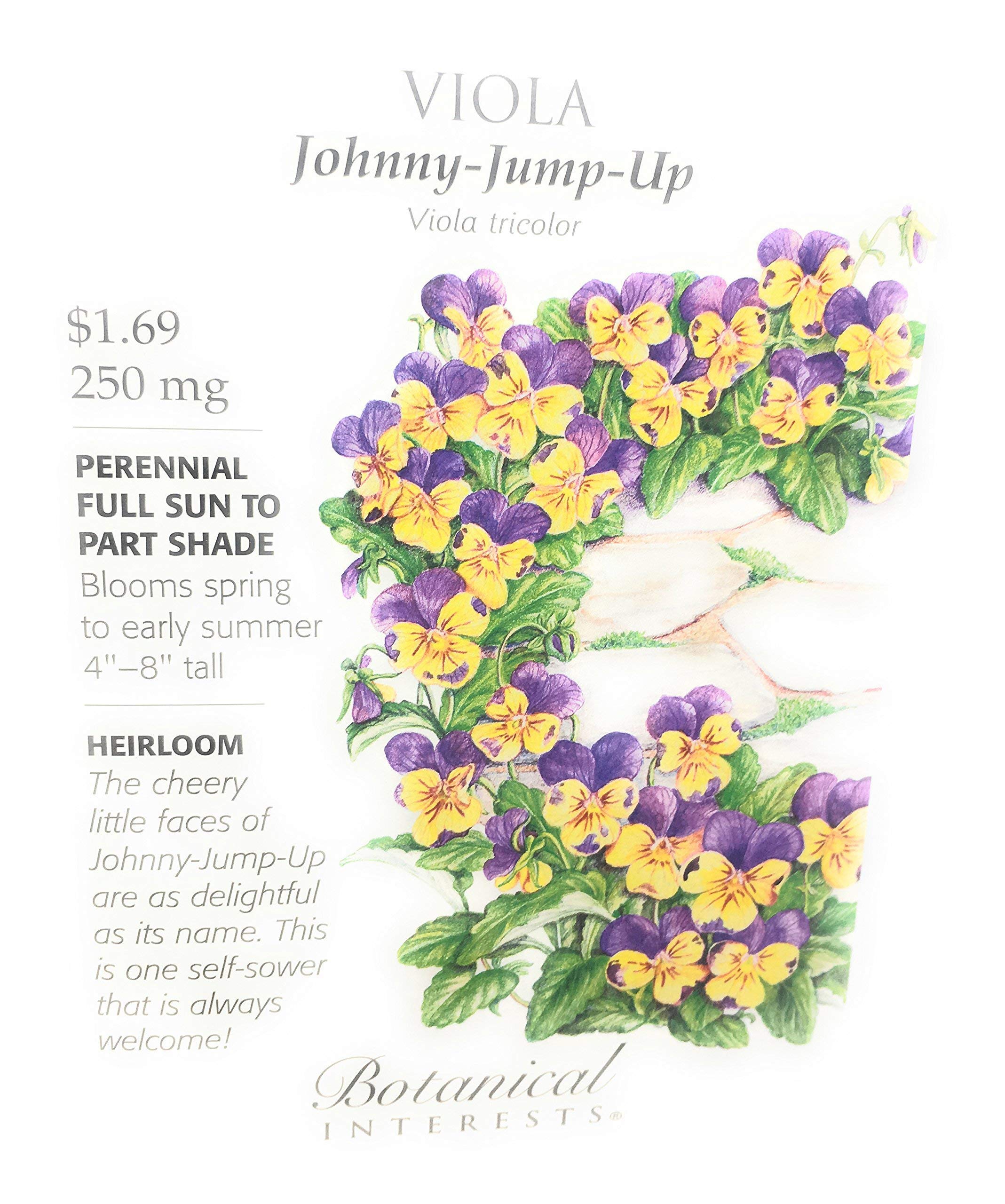 Johnny-jump-up Flower Seeds - Vibrant Colorful Blooms For Your Garden