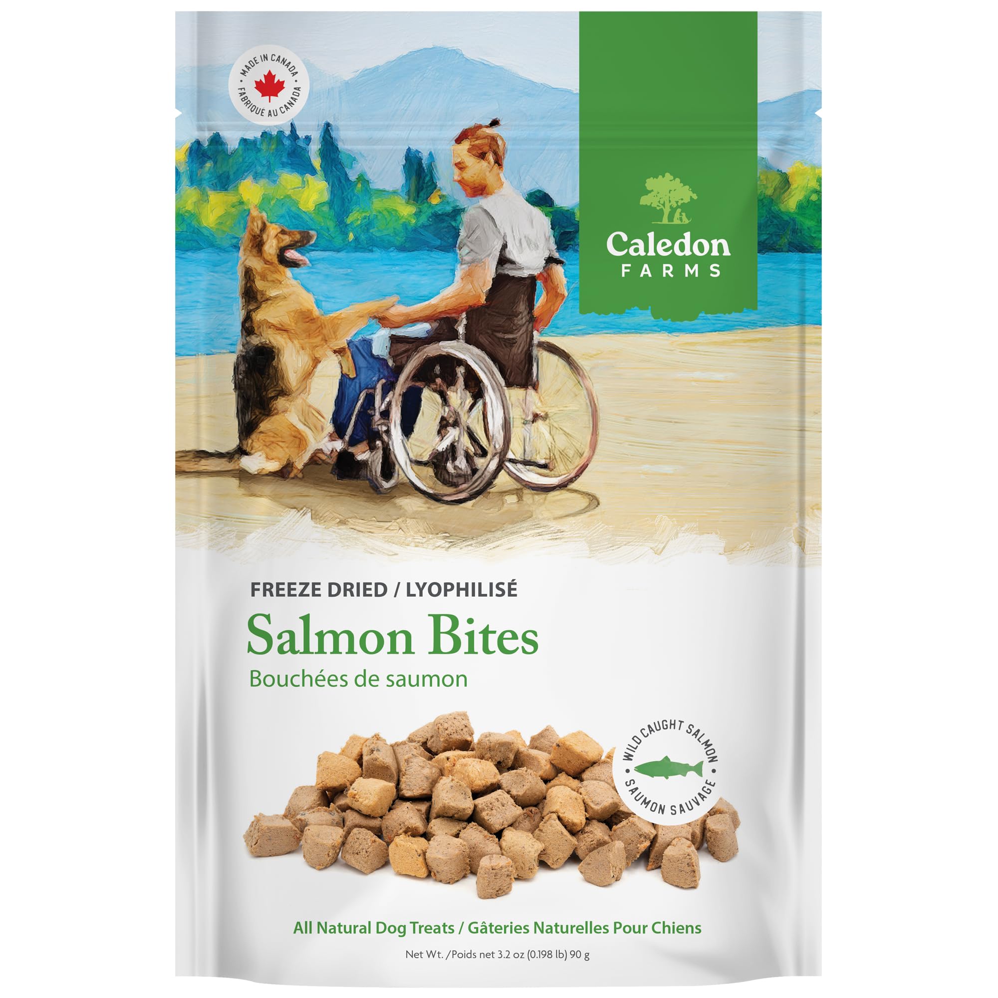 Freeze Dried Dog Treats - Salmon 3.2OZ
