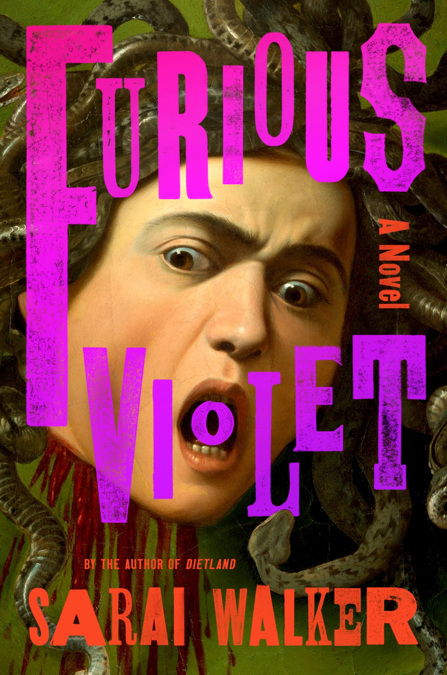Furious Violet: A Novel