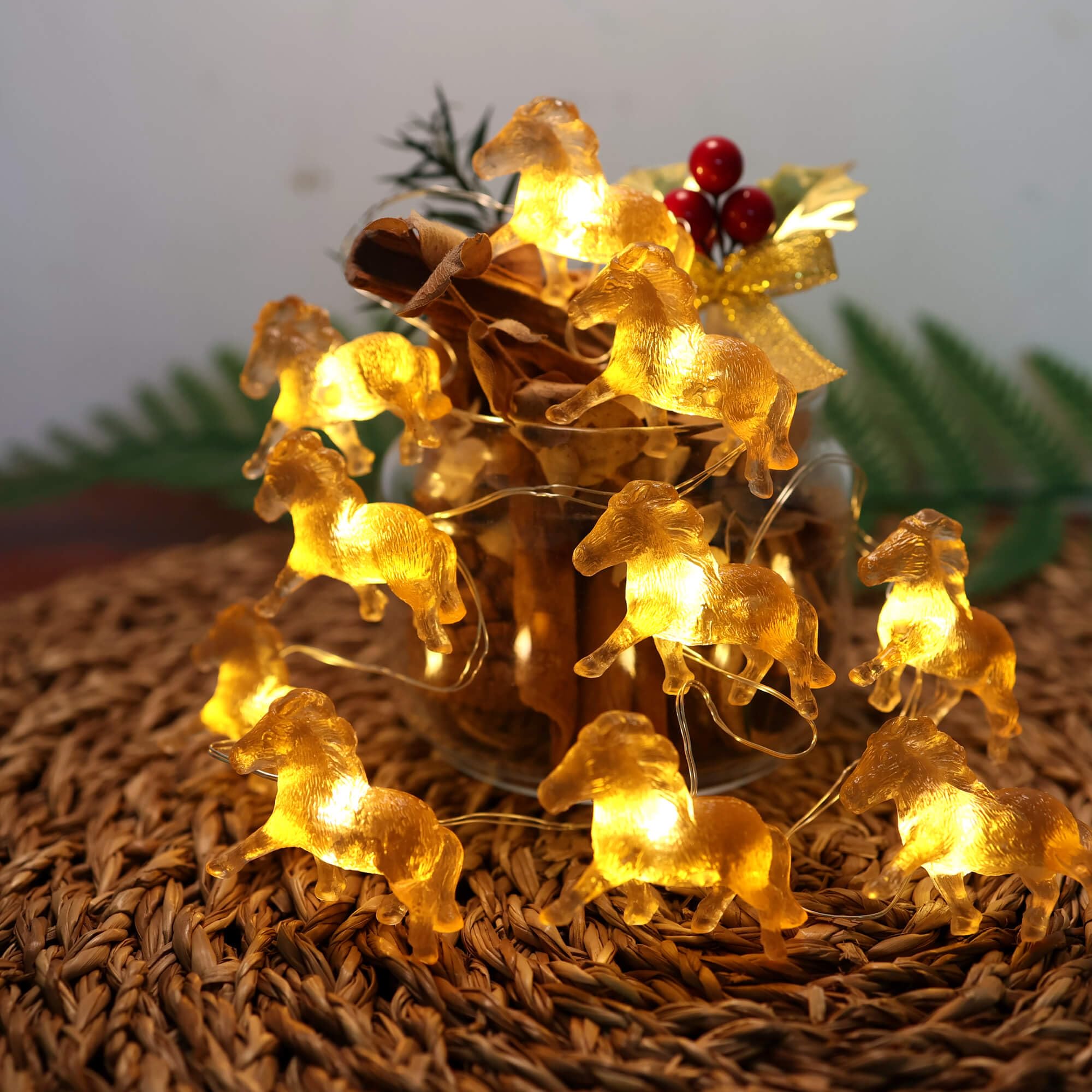 Battery Operated Timer Afstandsbediening Koperdraad Fairy Lights 50 Led Waterdic