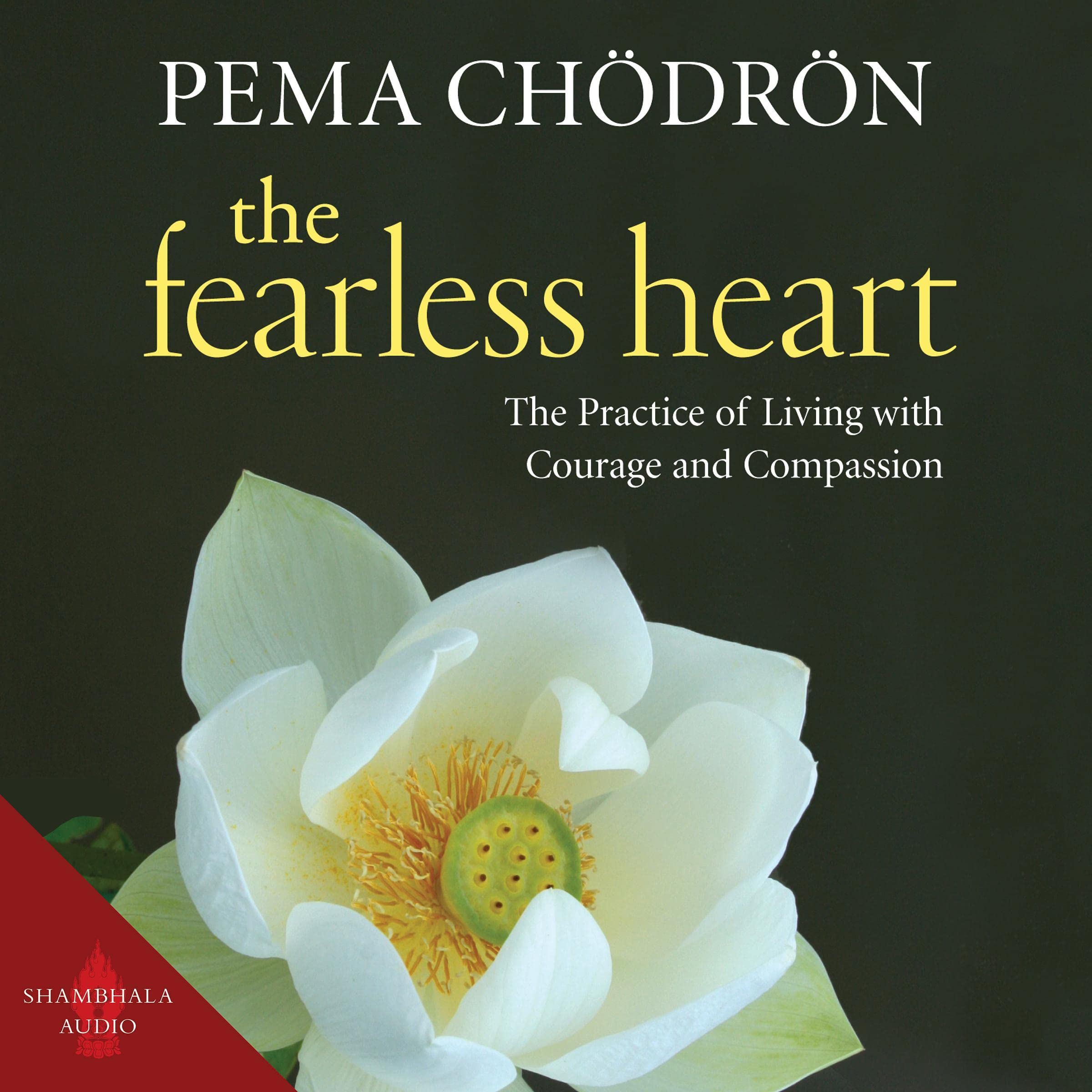 The Fearless Heart: The Practice of Living with Courage and Compassion