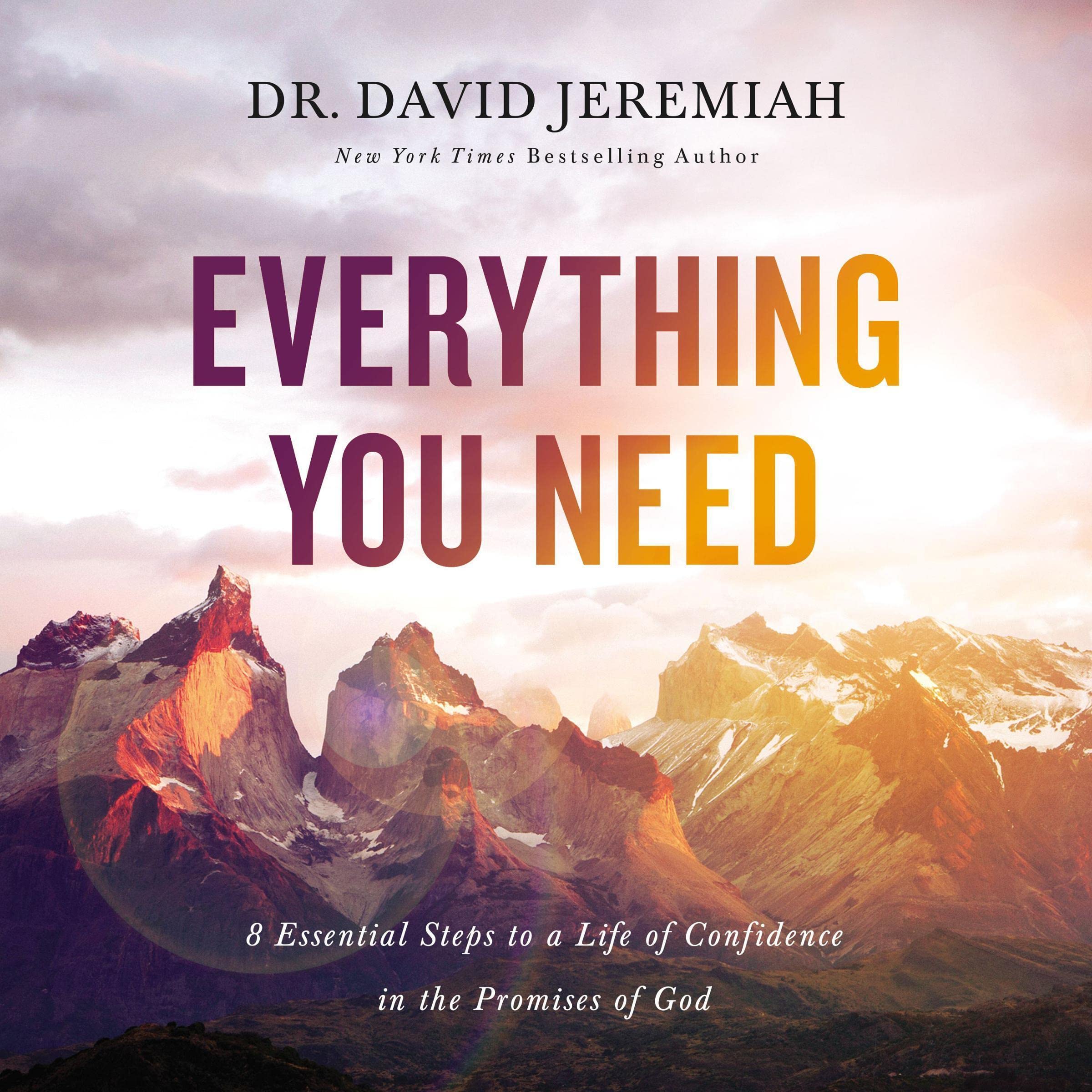 Cover art for Everything You Need