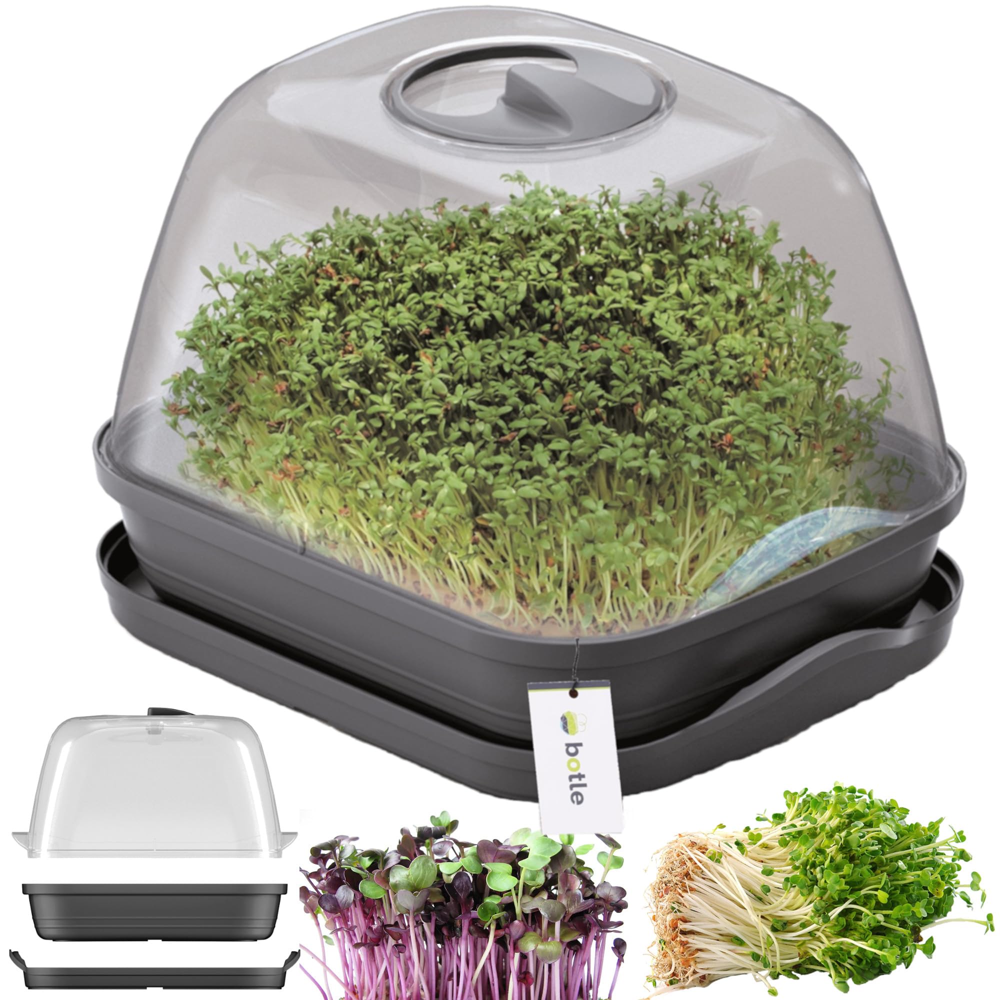 Lot de 3 mini serres de culture - Anthracite - 25,7 x 18,5 cm - Jardinières avec couvercle - Jardinière surélevée - Pour la croissance des légumes, des semis et des semis