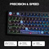 EPOMAKER HE80 Tastiera da Gioco a Effetto Hall, 8K Polling & 32K Scan - 4