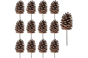 Winlyn Artificial Pine Cone 12 Pack for Christmas Tree Season