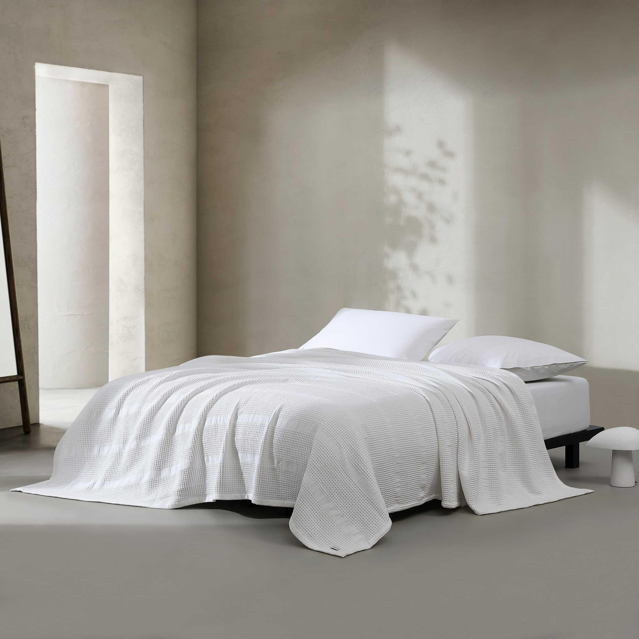 Calvin Klein Plush Queen Size Blanket IVORY Home & Kitchen